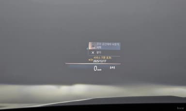 IX