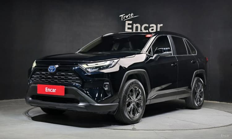 RAV4 5th Generation