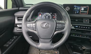 UX250h