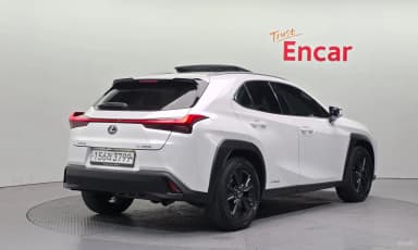 UX250h