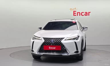 UX250h