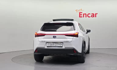 UX250h