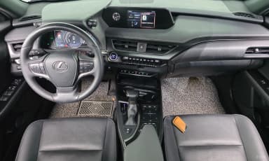 UX250h