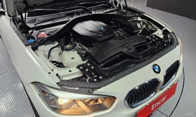 1 Series (F20)