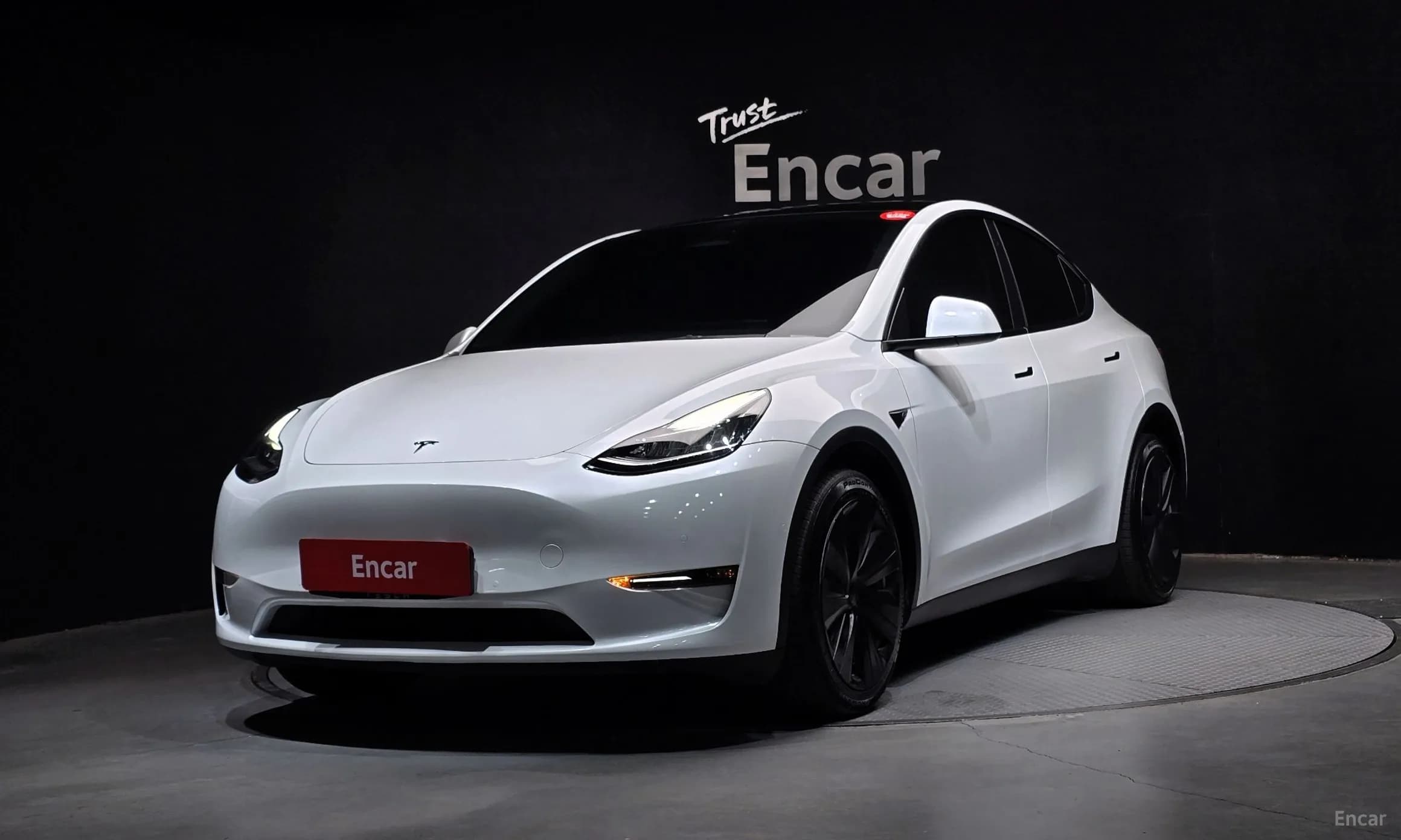 Model Y