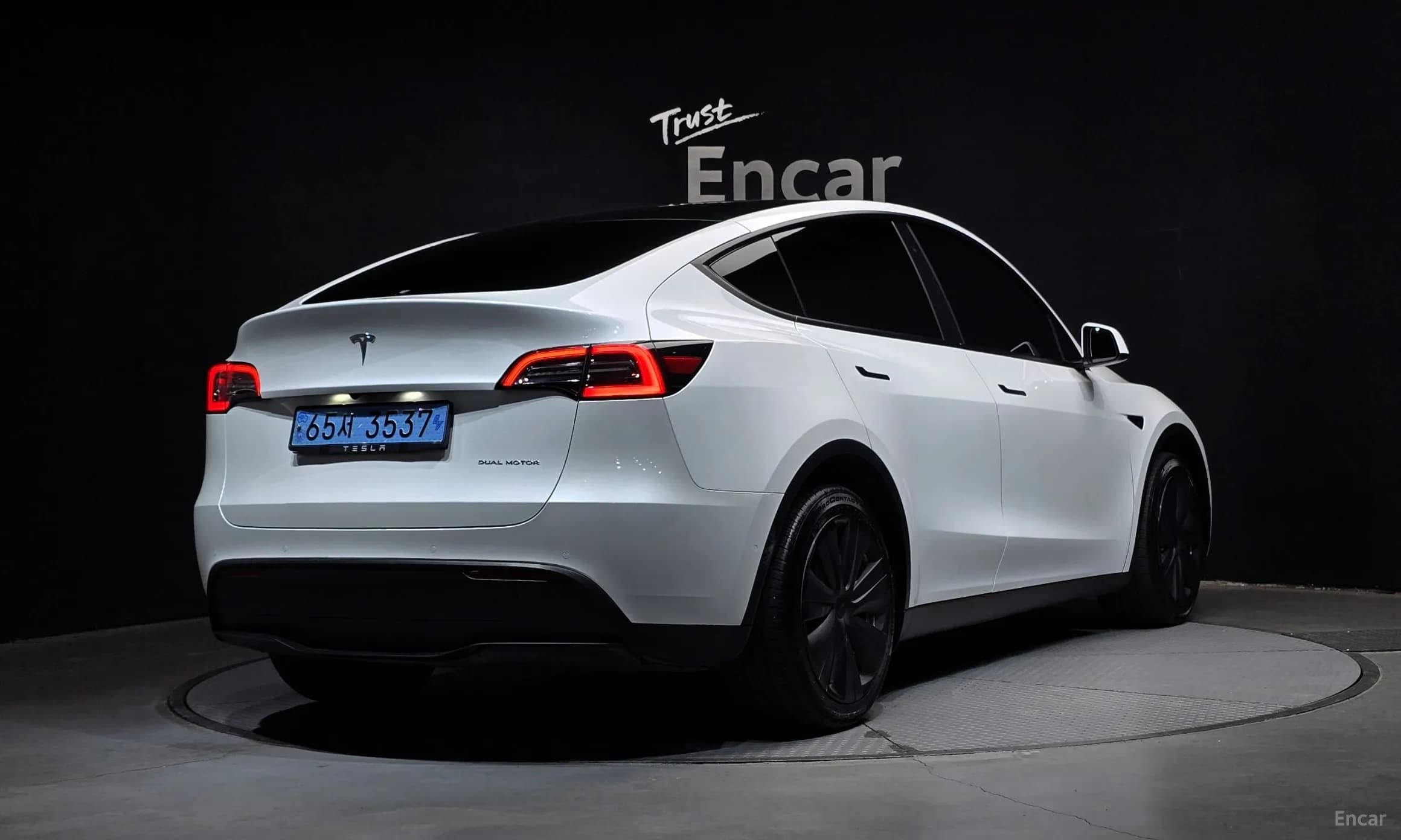 Model Y