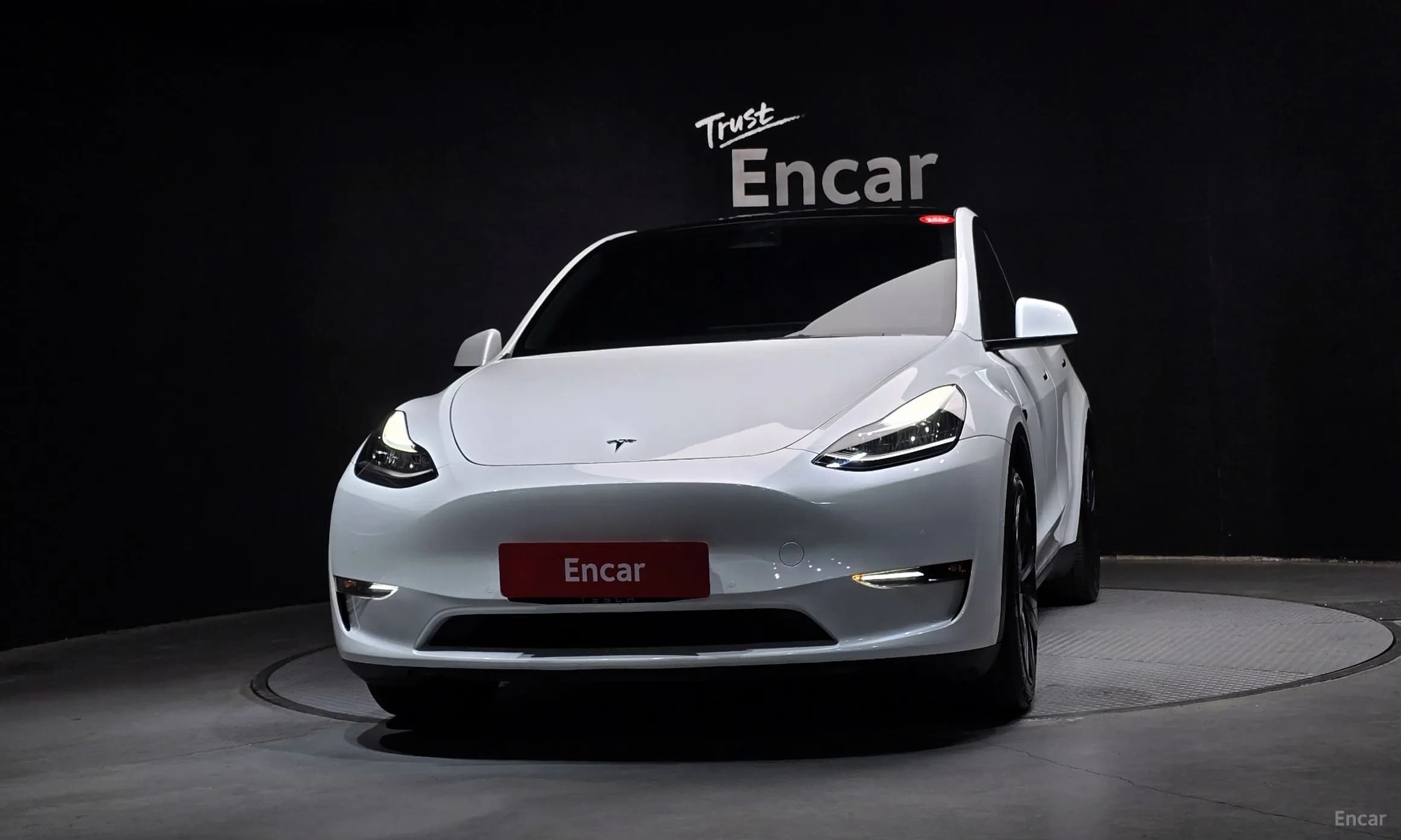 Model Y