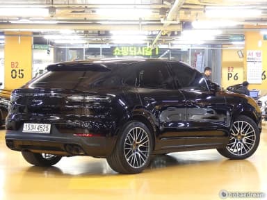 Cayenne (PO536)