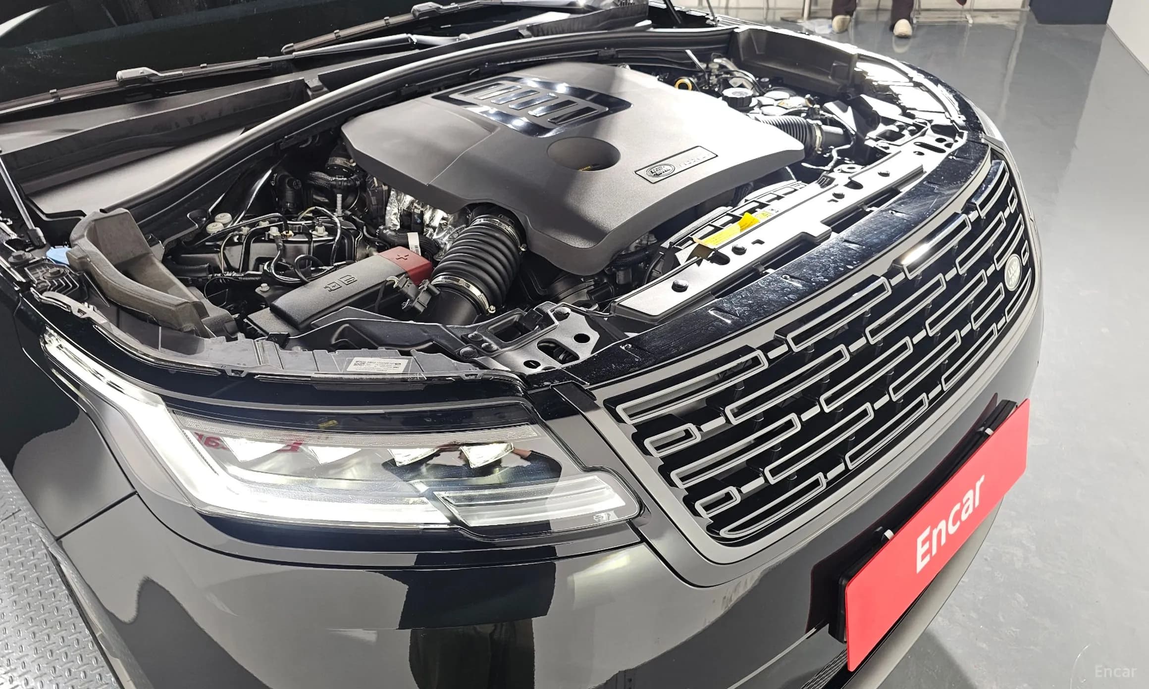 Range Rover Bella
