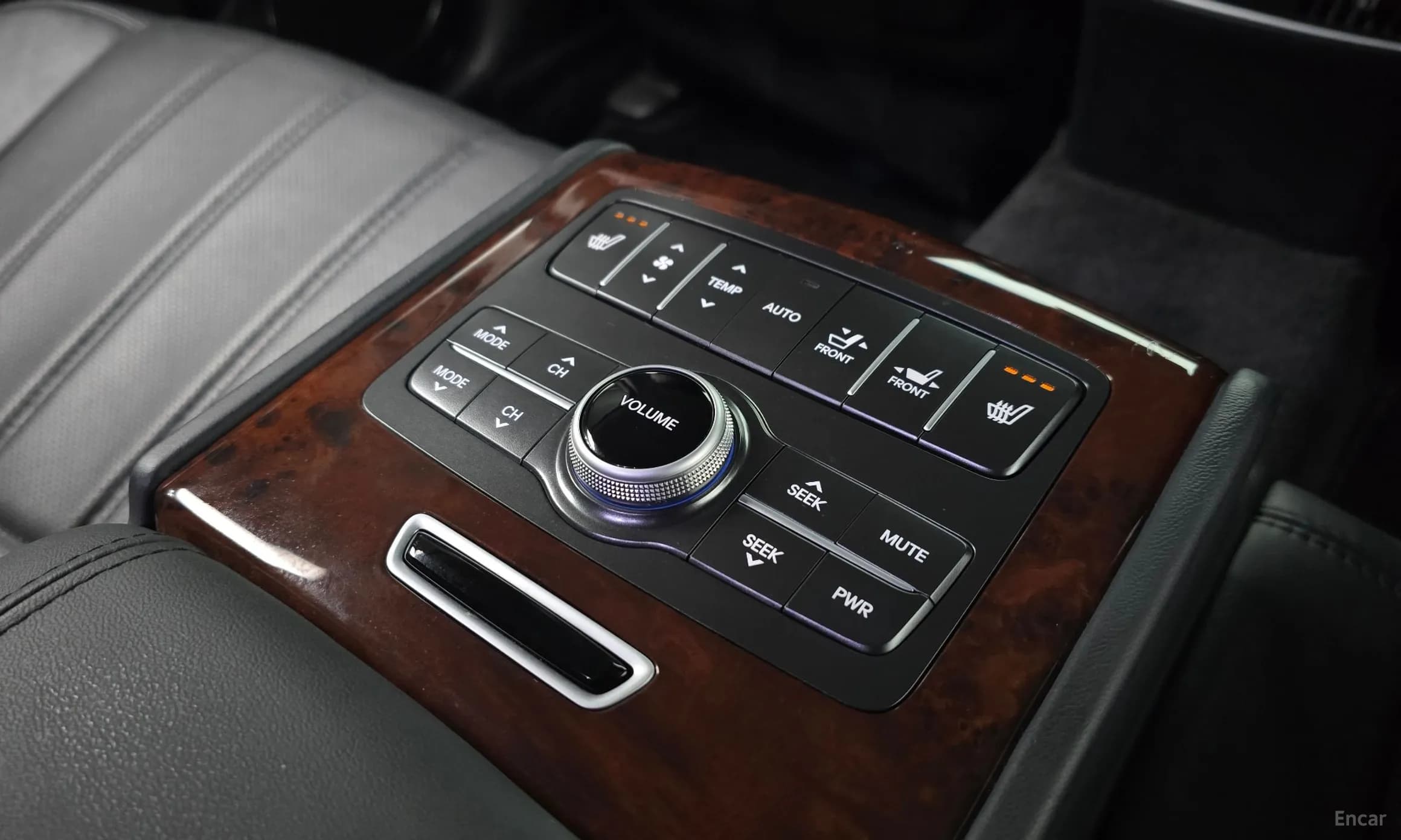 Equus (new)