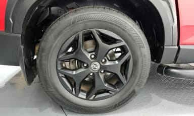 Rexton Sports