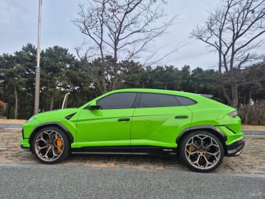Urus