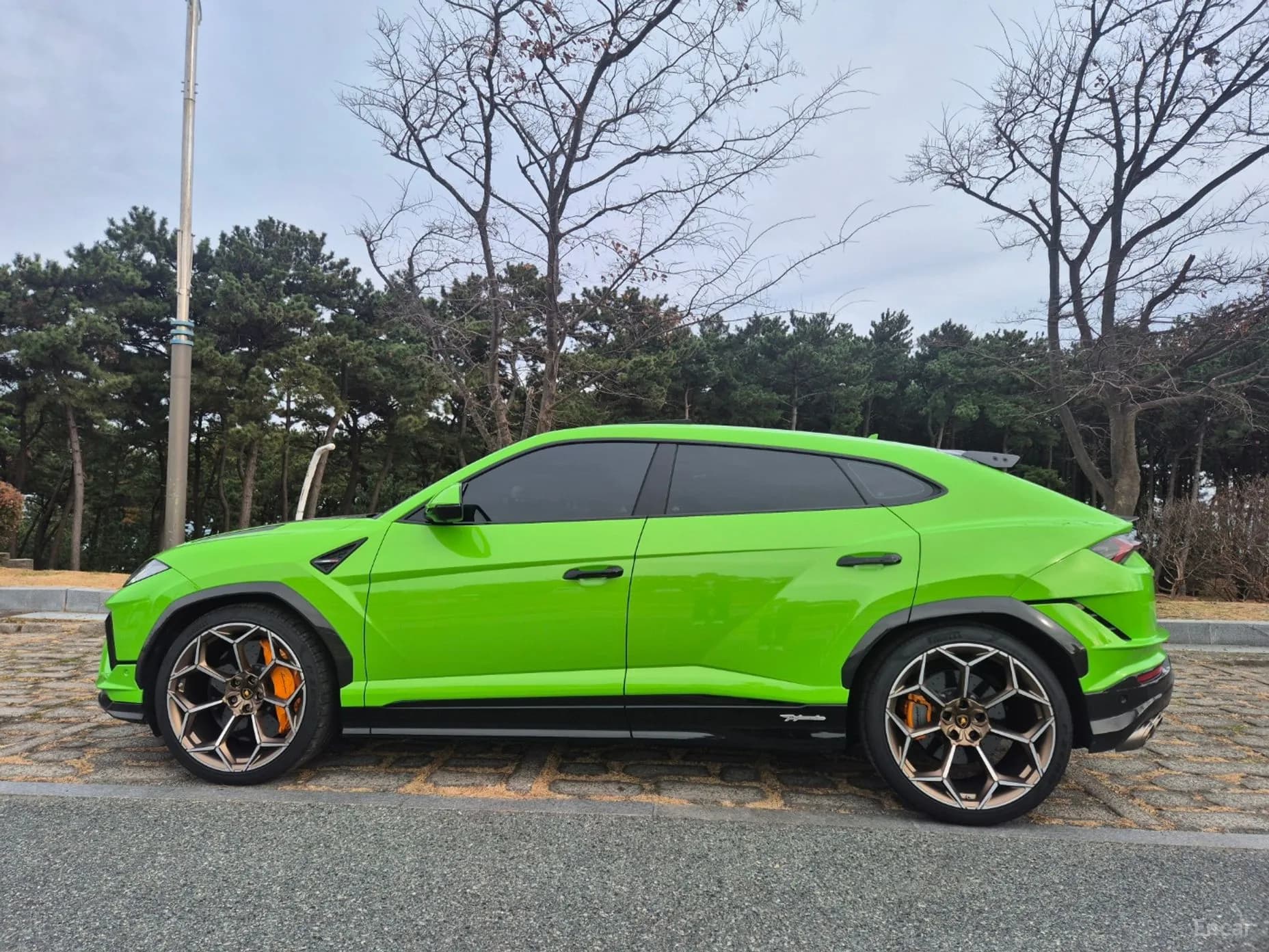 Urus