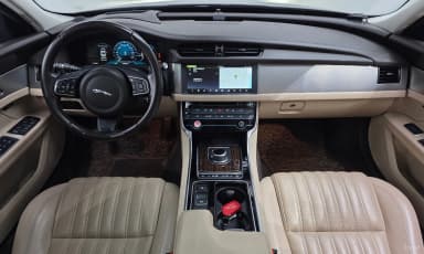 XF (x260)