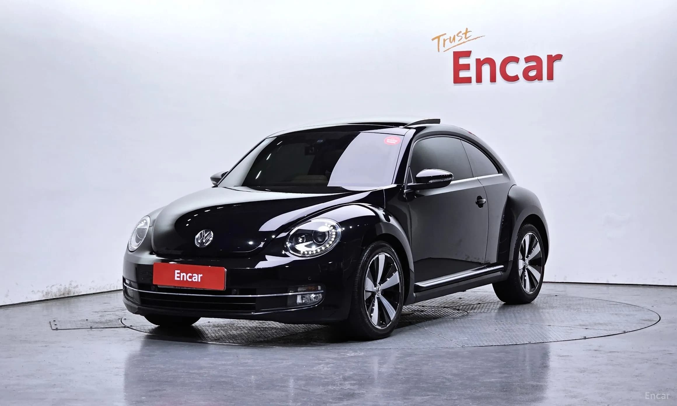 The Beetle