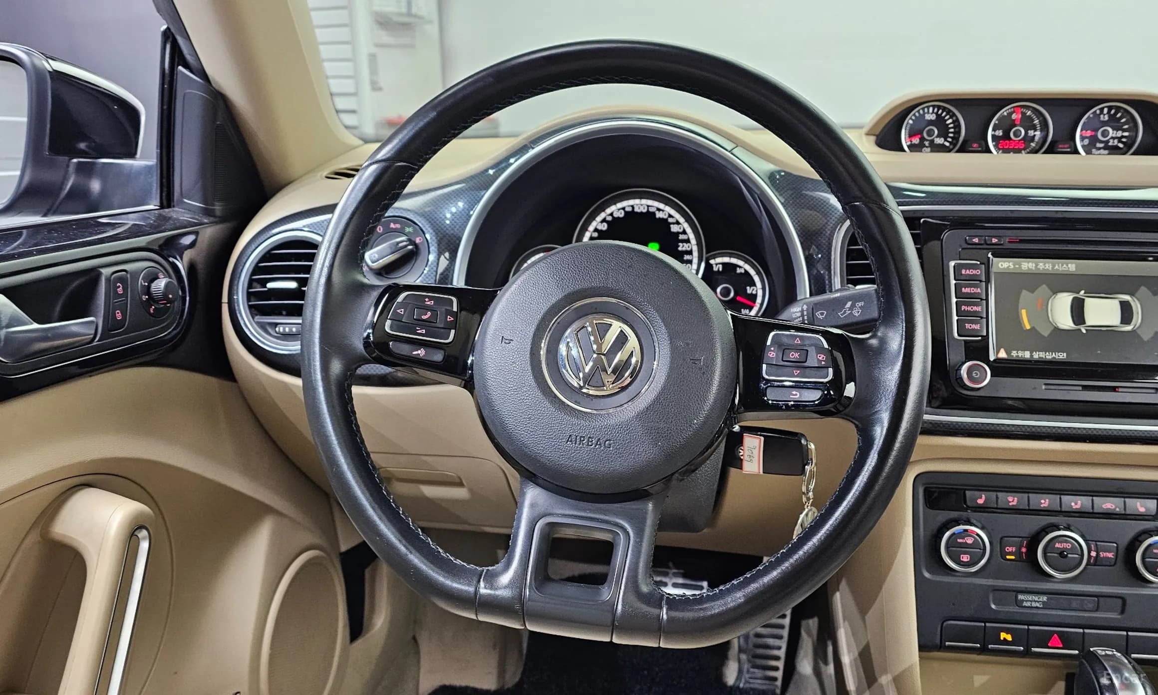 The Beetle
