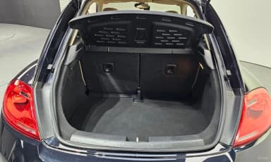 The Beetle