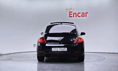 The Beetle