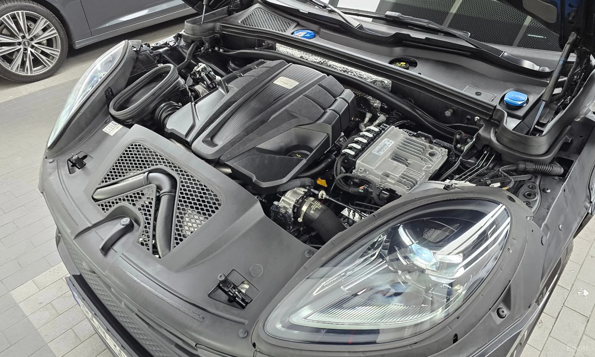 Macan