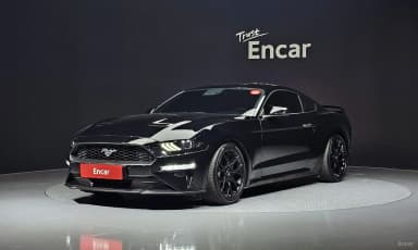 Mustang