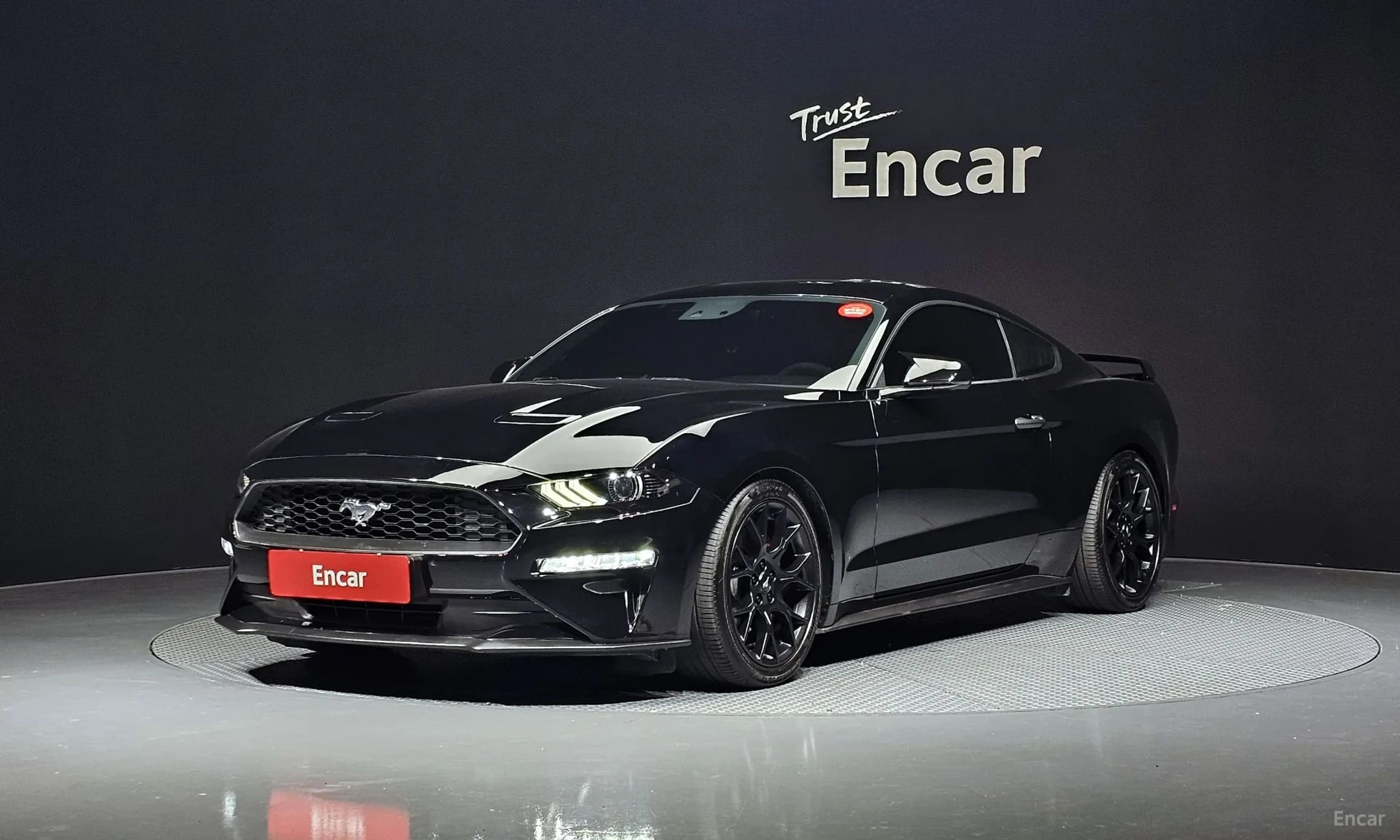 Mustang