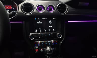Mustang