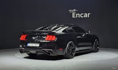 Mustang