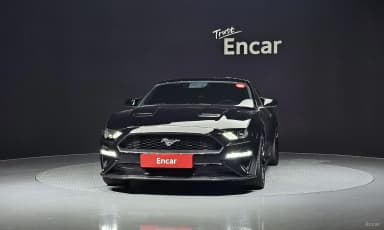 Mustang