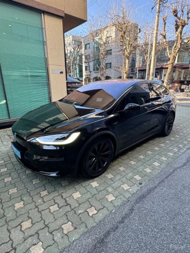 Model X
