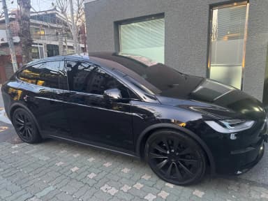 Model X