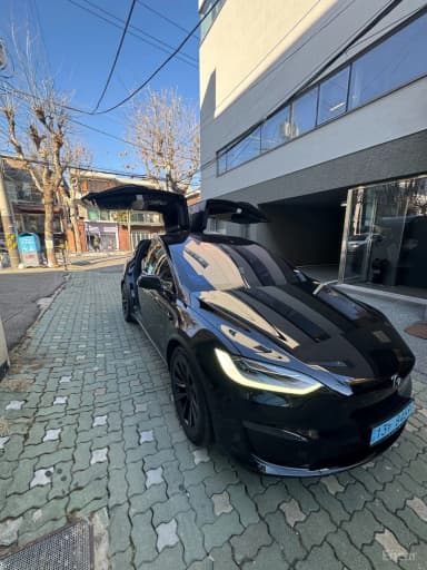 Model X