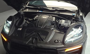 Macan