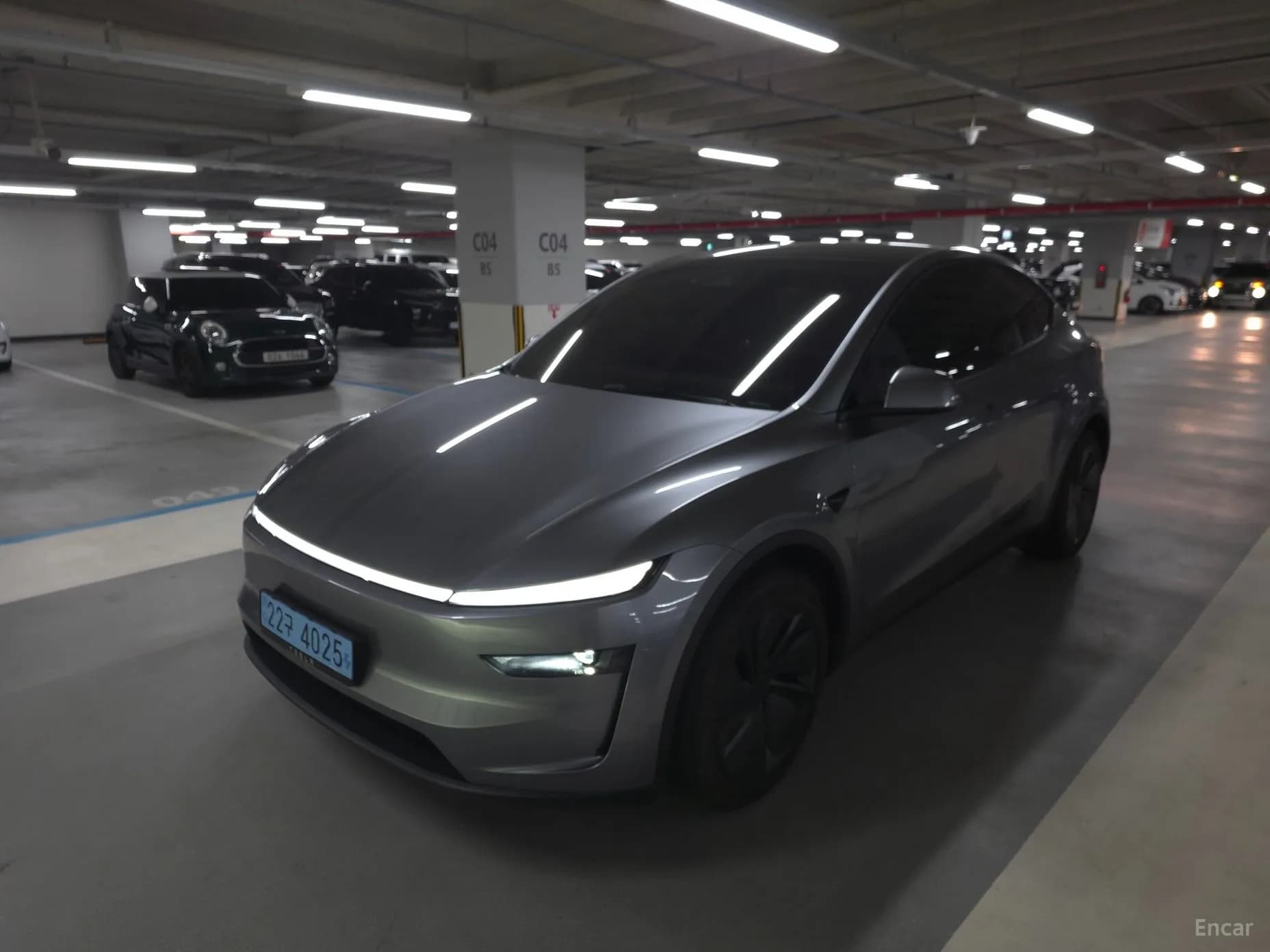 Model Y