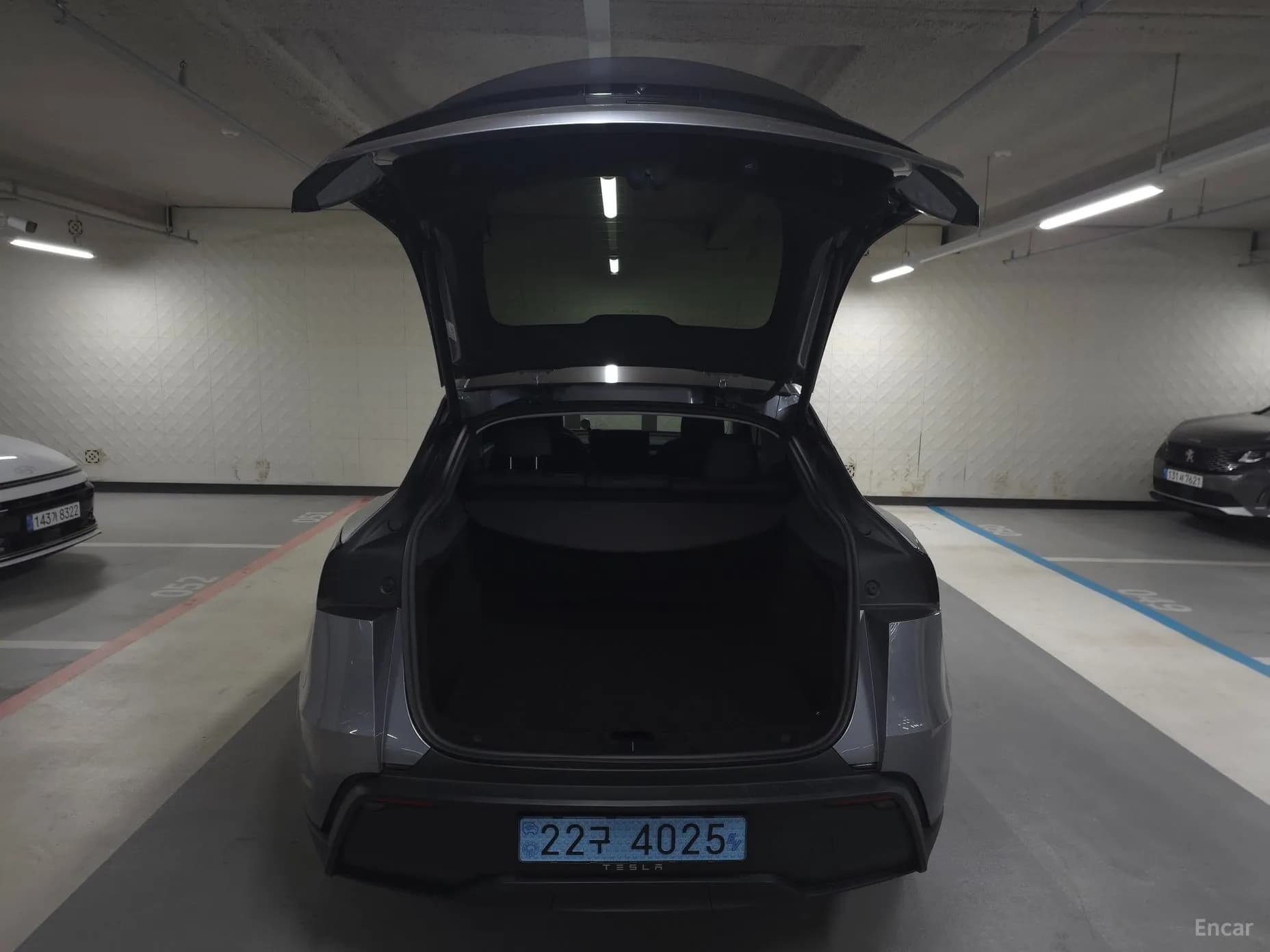 Model Y