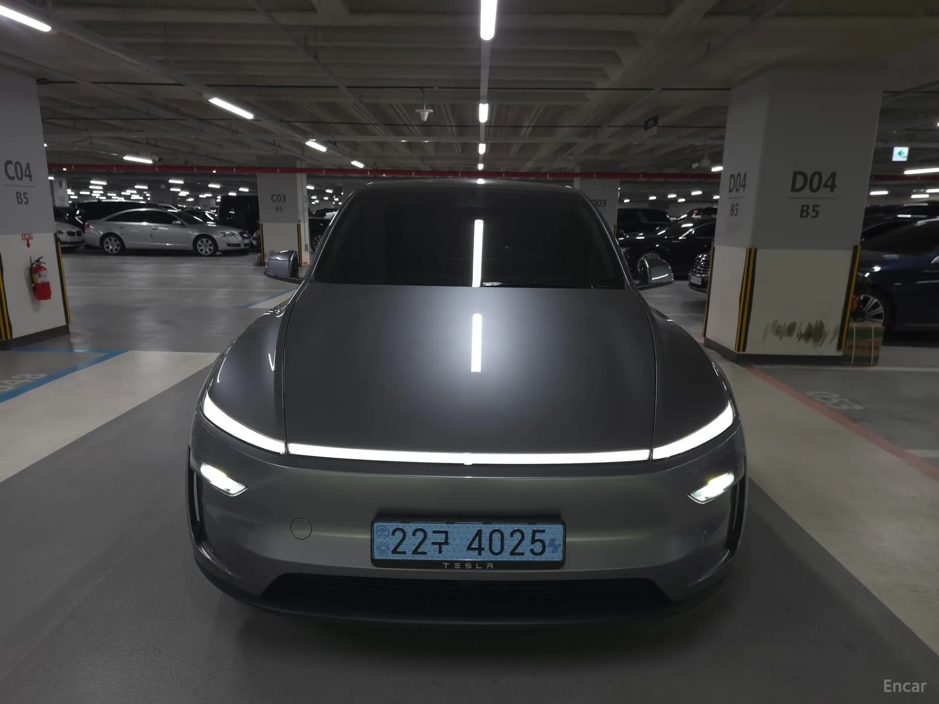 Model Y