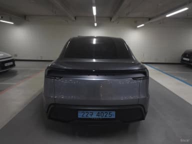 Model Y