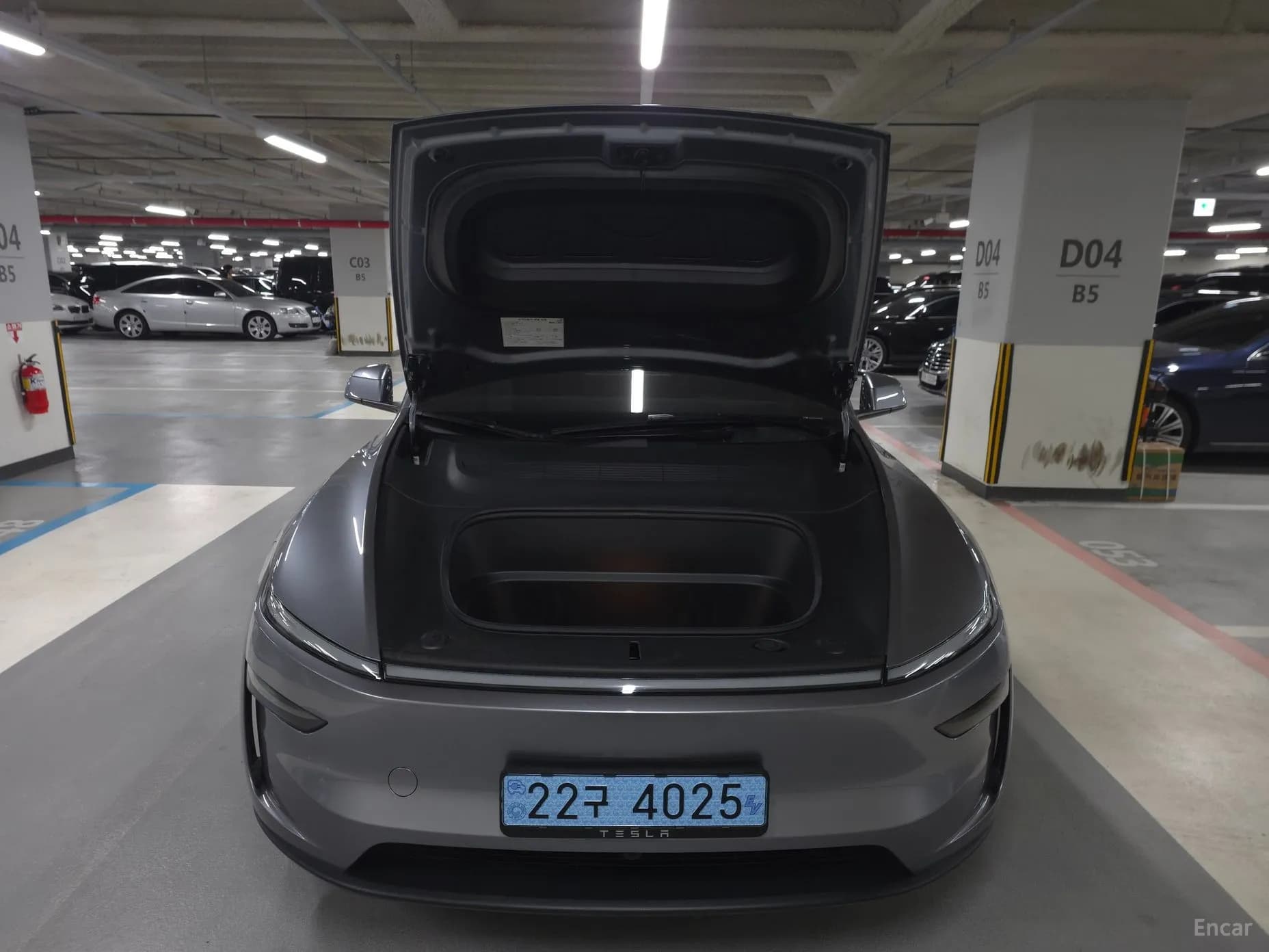 Model Y