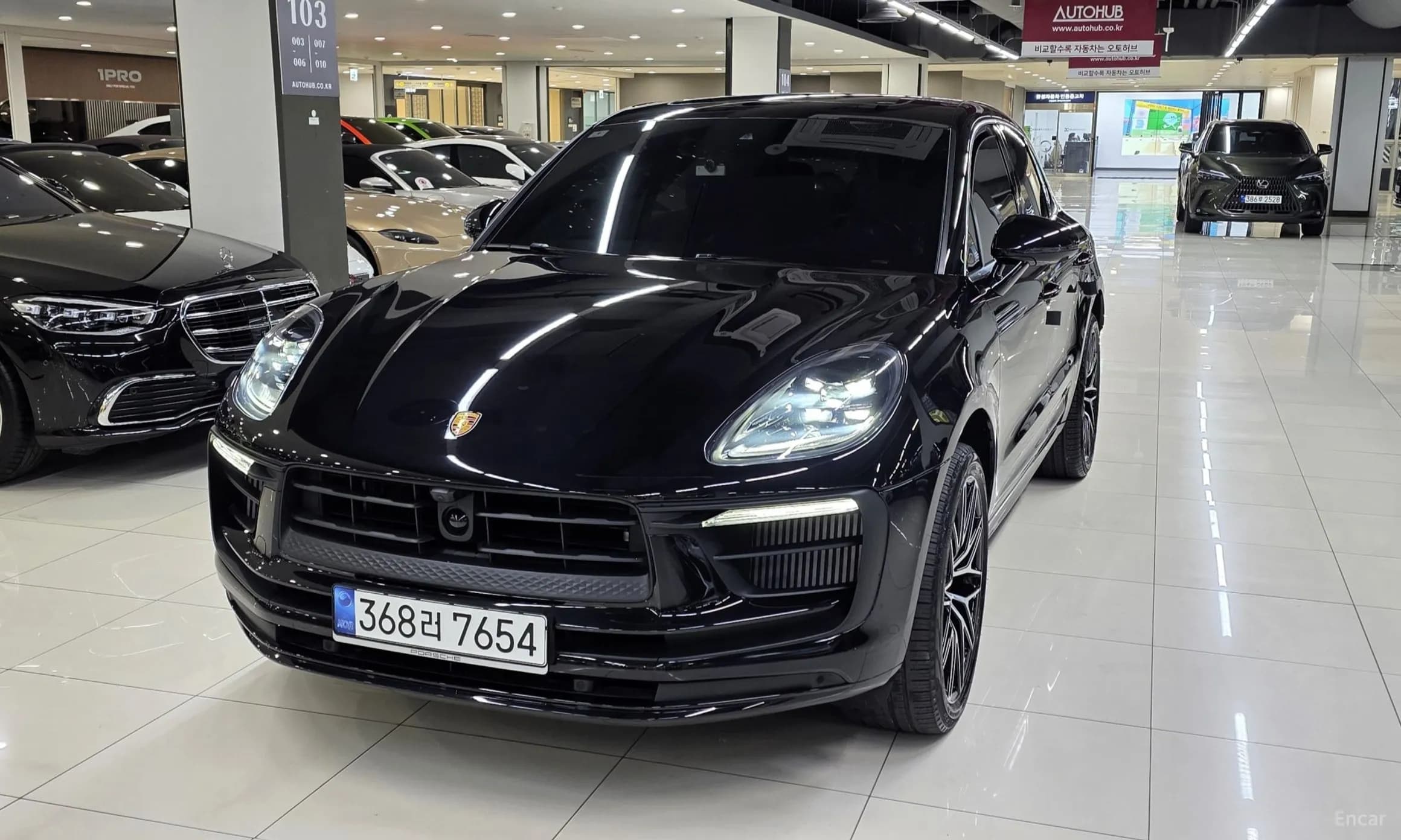 Macan