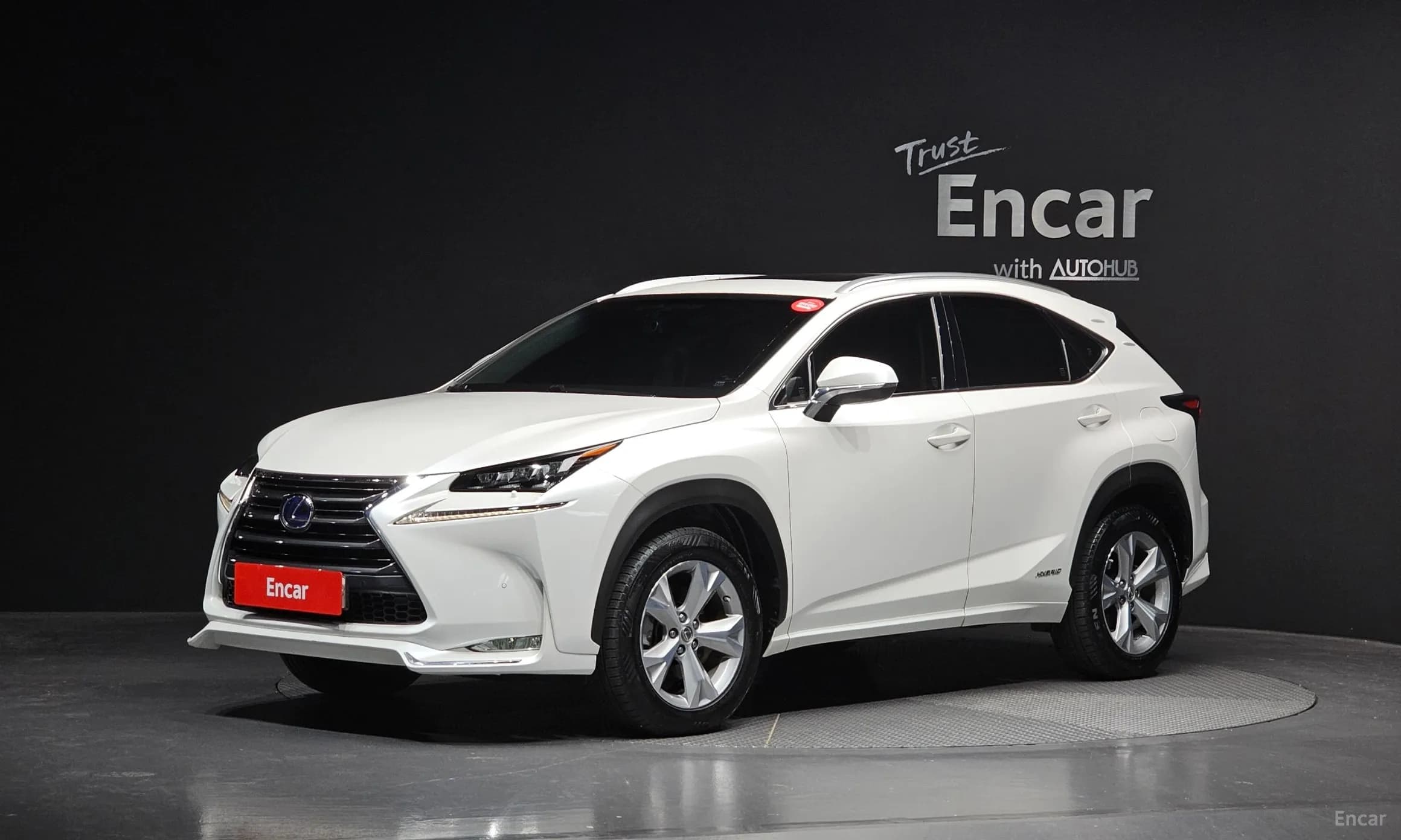 NX300h