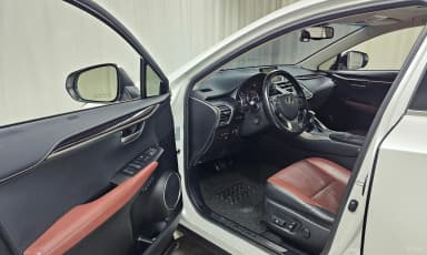 NX300h