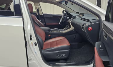 NX300h