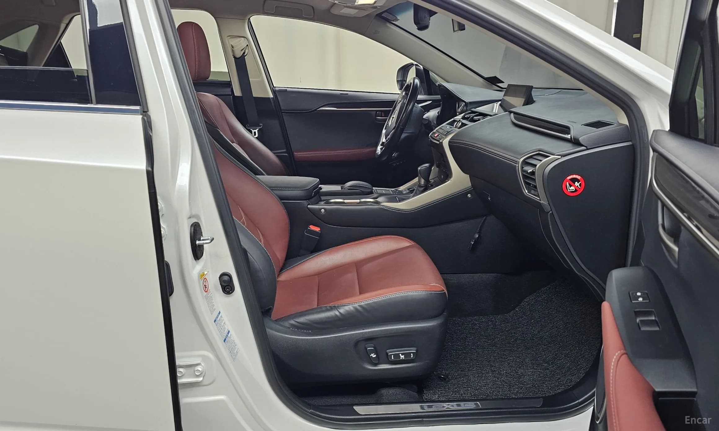 NX300h