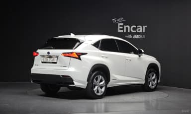 NX300h