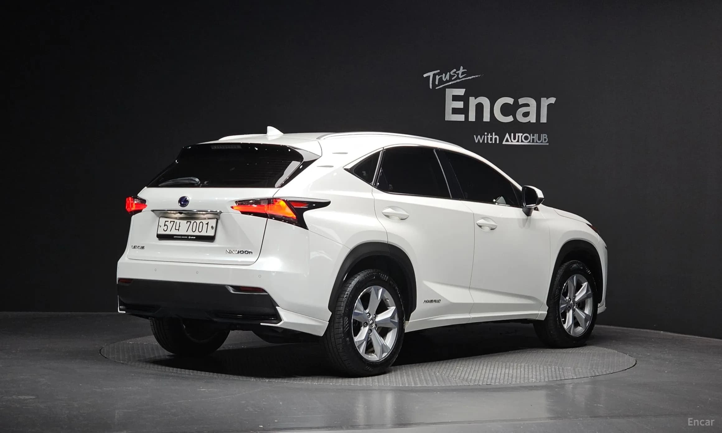 NX300h