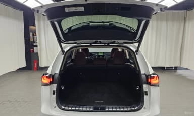 NX300h