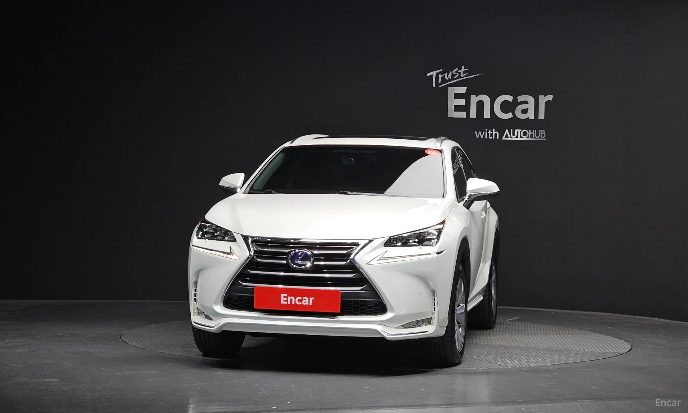 NX300h