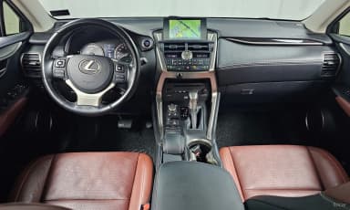 NX300h