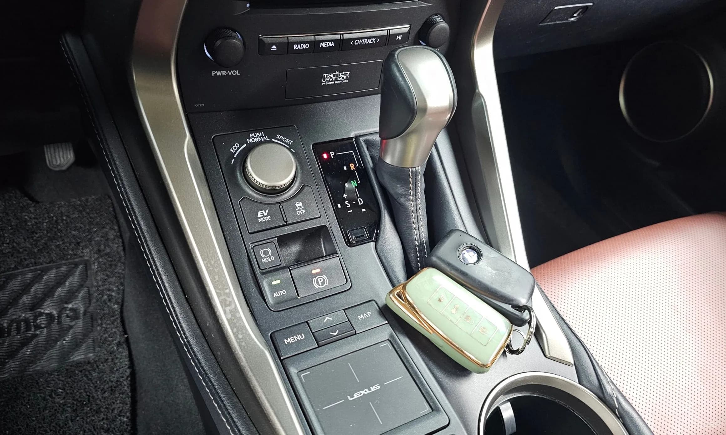 NX300h