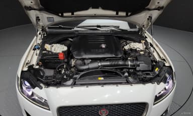 XF (x260)