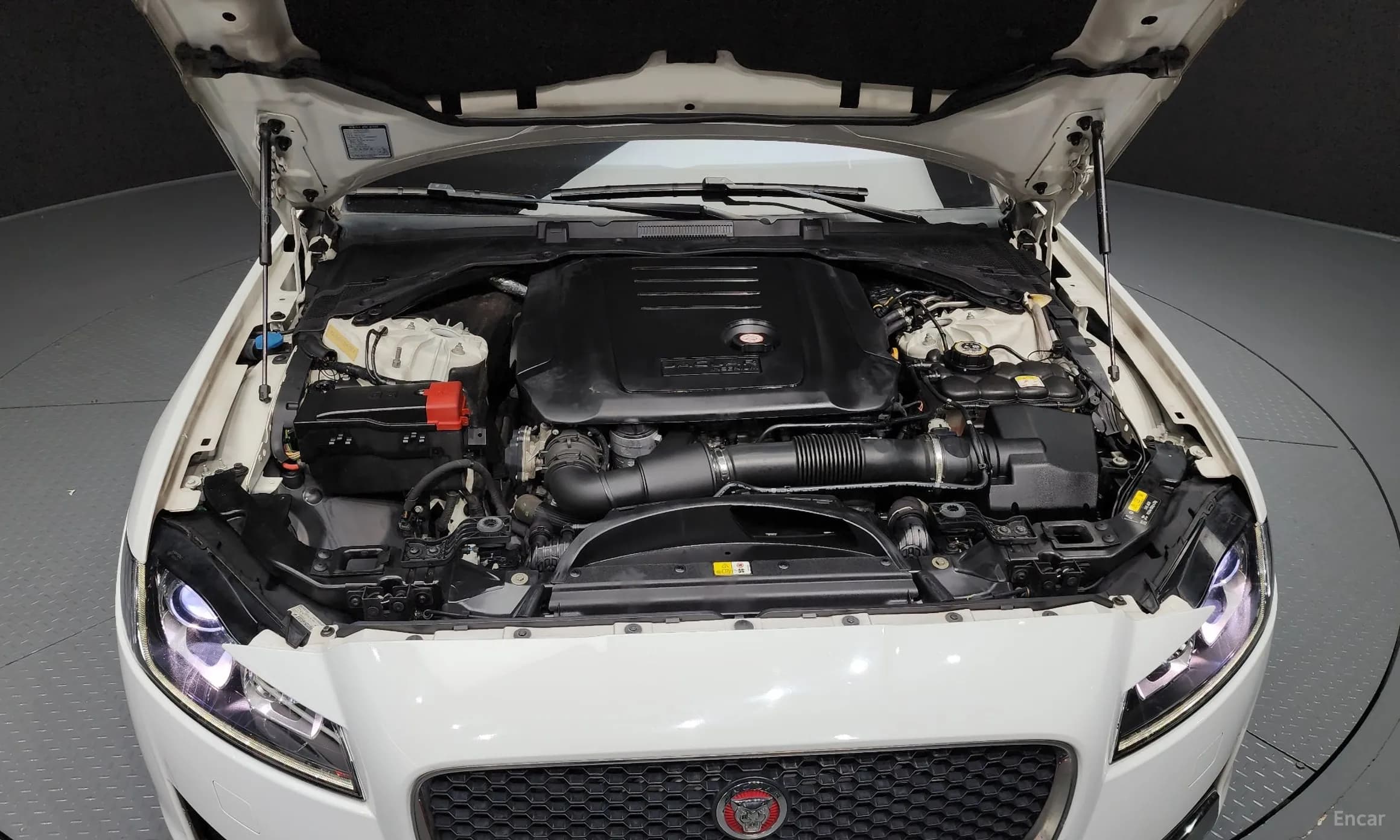 XF (x260)